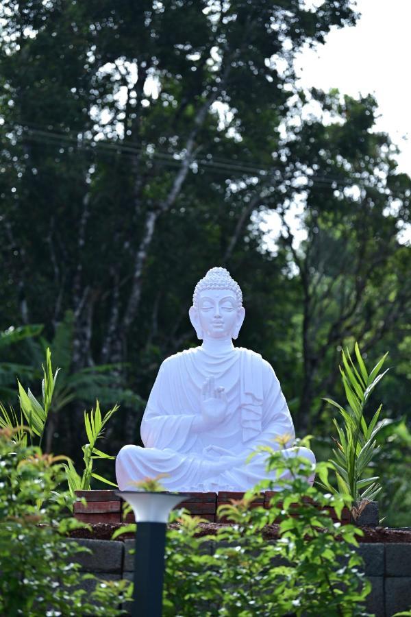 Farm stay Rk Mount Orchid Coorg *