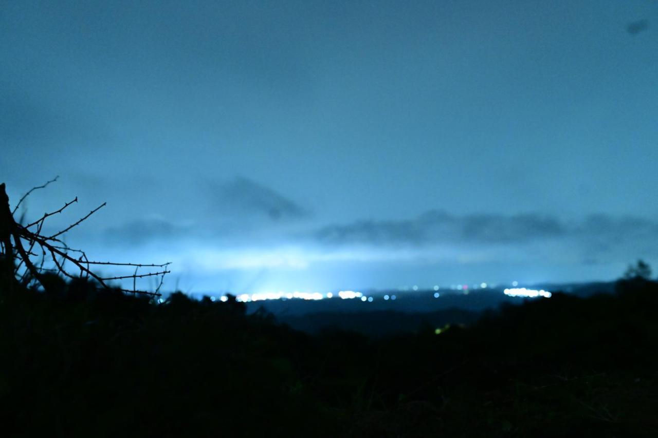 Rk Mount Orchid Coorg