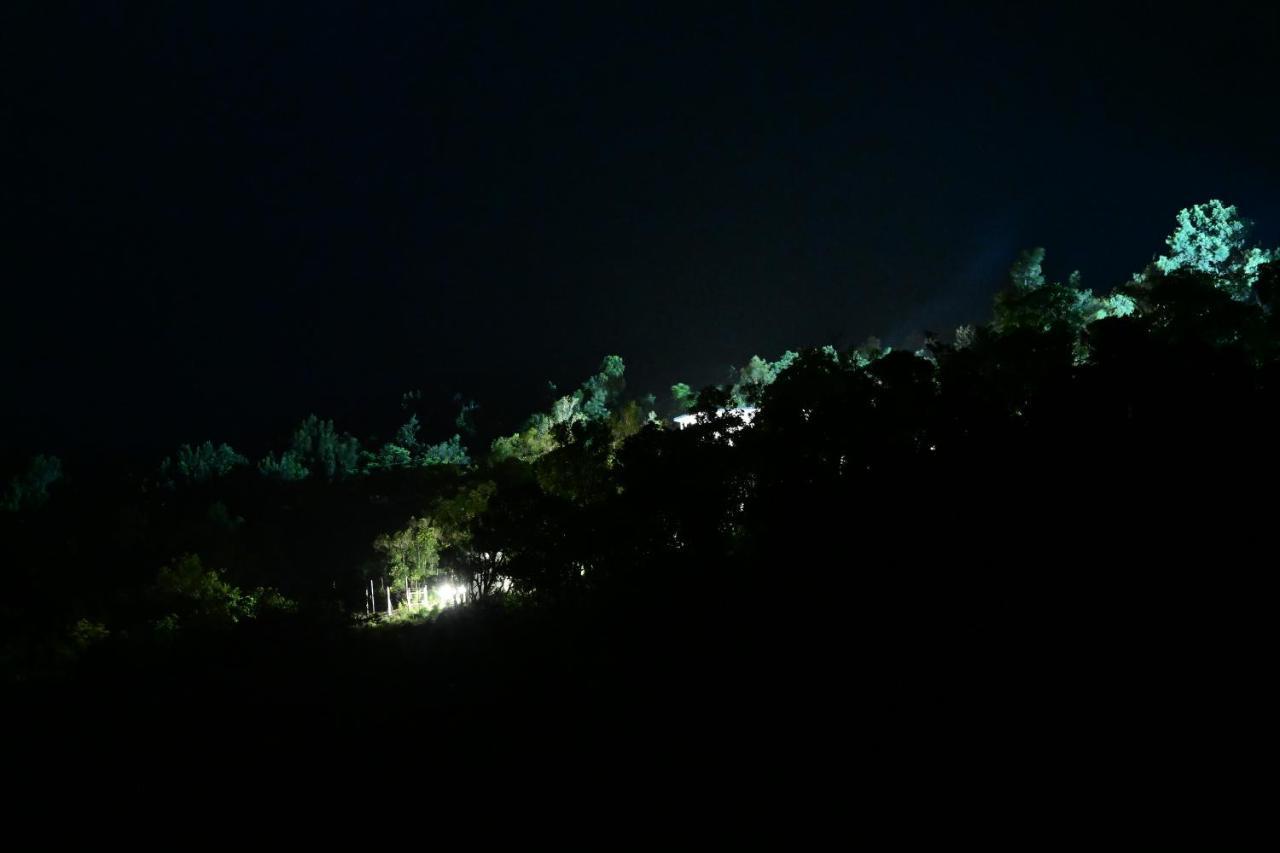 Rk Mount Orchid Coorg * Madikeri